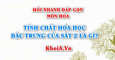 Tính chất hóa học đặc trưng của Sắt 2 là gì? Hỏi nhanh đáp gọn môn Hóa